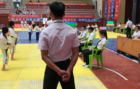 爱游戏-跆拳道夜战：东城飞鹰队读秒扳平岭东犀牛队，主帅临场妙招本土核心状态回升