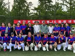 板球赛场再起风云：中原风暴队爆冷云贵烈马队，新援首秀制胜中场绞杀压制对手